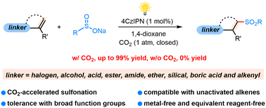 Graphical abstract: CO2-Promoted photoredox-catalyzed hydrosulfonylation of alkenes with sulfinates