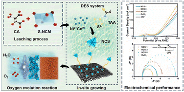 Graphical abstract: Efficient metal recovery and electrocatalyst fabrication from spent lithium-ion batteries via green solvent extraction