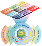 Graphical abstract: Research progress on the preparation of lignin micro/nano-particles and their biomedical applications