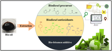 Graphical abstract: Biochemicals to enable biorefining: a case study of polyphenol extraction from bio-oil for utilization as a biodiesel antioxidant