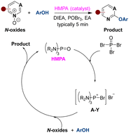 Graphical abstract: Sustainable synthesis of heteroaryl ethers from azine N-oxides via phosphoramide catalysis