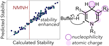 Graphical abstract: Computer-aided design of stability enhanced nicotinamide cofactor biomimetics for cell-free biocatalysis