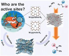 Graphical abstract: Bio-waste derived Ni single-atom catalysts with Ni-pyridine-N4 active sites for efficient N-alkylation of alcohols and amines