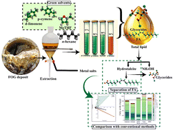 Graphical abstract: Sustainable lipid extraction: green solvents and hydrotalcite as alternatives to conventional methods for measuring fatty acids in fat, oil and grease