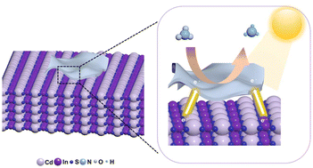 Graphical abstract: Asymmetric TiS1O1N2 site for interfacial polarization with improved NO3−-to-NH3 photoreduction