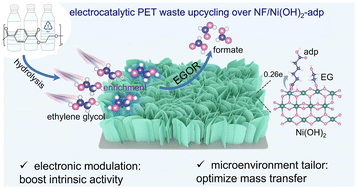 Graphical abstract: Electronic structure and interfacial microenvironment engineering over the Ni(OH)2 nanoarray for boosted electrocatalytic upcycling of polyethylene terephthalate