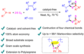 Graphical abstract: Catalyst- and solvent-free, atom- and step-economical synthesis of dithiophosphinates by one-pot domino introduction of sulfur atoms