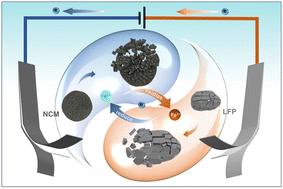 Graphical abstract: Fe2+/Fe3+-Mediated synergistic electrochemical leaching of spent lithium-ion batteries under low voltage: a green chemistry approach