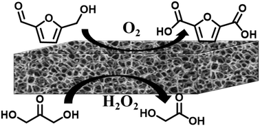 Graphical abstract: Polymer monomers fabricated from biomass platform molecules over metal-free catalysts