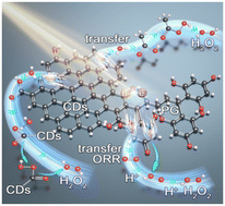 Graphical abstract: Carbon-dot-modified phloroglucinol–glutaraldehyde resin photocatalysts for hydrogen peroxide production