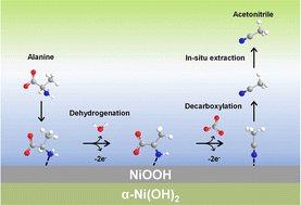 Graphical abstract: Direct nitrile electrosynthesis from amino acids on nickel oxyhydroxide