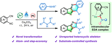 Graphical abstract: Visible-light-induced selenium-mediated cascade cyclization of 2-isocyanobenzonitriles with secondary amines to access indole-fused polycyclics