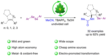 Graphical abstract: Electrochemical vicinal amidoselenation of unactivated olefins via a tandem Ritter reaction