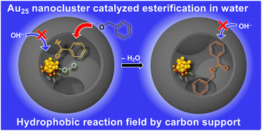 Graphical abstract: Aqueous-phase synthesis of benzyl ester over partially thiolated Au25 nanocluster catalysts: improving selectivity with a hydrophobic carbon support