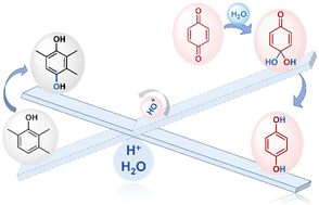 Graphical abstract: Simultaneous phenol oxygenation and quinone hydrogenation with water as both the oxygen and hydrogen source