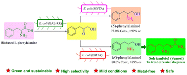 Graphical abstract: Cascade biocatalysis for enantioselective reconstruction of both enantiomers of phenylalaninol from biobased l-phenylalanine