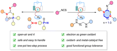 Graphical abstract: Electrochemically driven tandem addition–cyclization: synthesis of thiadiazinanes and thiophosphonates