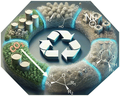 Graphical abstract: Systematic investigation of the role of the epoxides as substrates for CO2 capture in the cycloaddition reaction catalysed by ascorbic acid