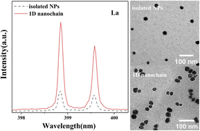 Graphical abstract: Highly sensitive determination of lanthanides by nanochain enhanced laser-induced breakdown spectroscopy