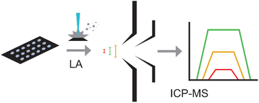 Graphical abstract: The influence of cone orifice diameter on ion transmission in solution and laser ablation ICP-MS