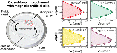 Graphical abstract: Magnetic pillar induced Poiseuille-like flow in microfluidic channels with viscous and viscoelastic fluids