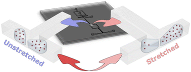 Graphical abstract: Micro elastofluidics for tuneable droplet splitting
