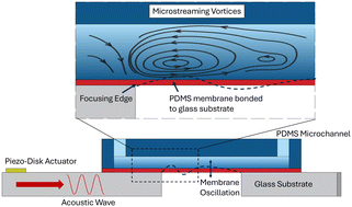 Graphical abstract: Acoustic microstreaming and augmentation of gas exchange using an oscillating membrane towards microfluidic artificial lungs