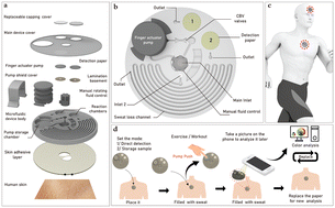 Graphical abstract: A novel manual rotating fluid control mechanism in a microfluidic device with a finger-actuated pump for dual-mode sweat sampling