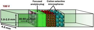 Graphical abstract: Ion concentration polarization focusing at a millimeter-scale microbead junction: towards higher volumetric throughput