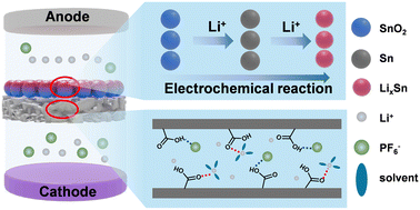 Graphical abstract: Hollow SnO2 nanosphere-coated separators for dendrite-free lithium metal batteries