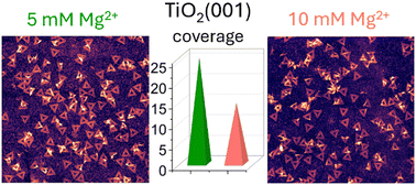 Graphical abstract: DNA origami adsorption at single-crystalline TiO2 surfaces