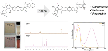 Graphical abstract: Bindone-based polymer for colorimetric detection of volatile amines