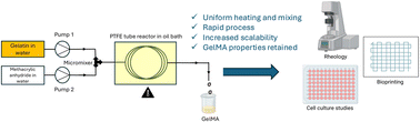 Graphical abstract: Production of gelatin methacrylate by flow chemistry and investigation of its suitability as a biomaterial