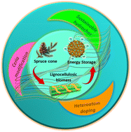 Graphical abstract: Ionic liquid-assisted hydrothermal valorization and redox site engineering of spruce cone biowaste for high-performance heteroatom-doped and ceria-modified electrodes for sustainable supercapacitor applications