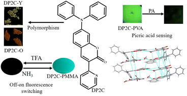 Graphical abstract: Dual-state emission triphenylamine-coumarin fluorescent polymorphs: halochromic reversible fluorescence switching and π–π stacking facilitated picric acid sensing