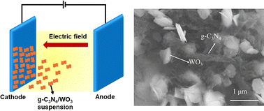 Graphical abstract: Unlocking photoanode performance through a roadmap for electrophoretic deposition of carbon nitride/tungsten oxide heterojunction thin films