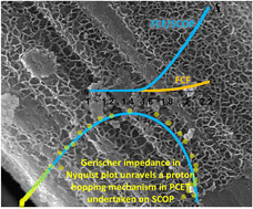 Graphical abstract: 3D honeycomb porous sulfonated covalent organic polymer (PCOP) synthesized on carbon fabric at refrigerated temperature: supercapacitor and metal-free proton relay for water oxidation in alkaline and neutral media