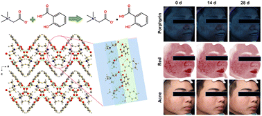 Graphical abstract: Betaine–salicylic acid cocrystal for enhanced skincare and acne treatment