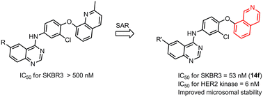 Graphical abstract: Discovery of isoquinoline-tethered quinazoline derivatives with enhanced HER2 inhibition over EGFR