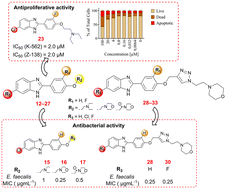 Graphical abstract: Biological assessments of novel ultrasound-synthesized 2-arylbenzimidazole derivatives: antiproliferative and antibacterial effects
