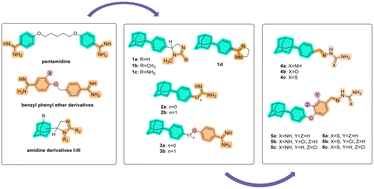Graphical abstract: New Trypanosoma brucei acting derivatives incorporating 1-(4-phenyl)adamantane and 1-(4-phenoxyphenyl)adamantane
