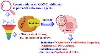 Graphical abstract: Recent advances in targeting COX-2 for cancer therapy: a review