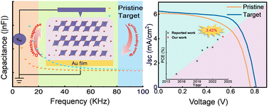 Graphical abstract: Reducing exciton binding energy of antimony-based perovskites by improving the phase purity for efficient solar cells