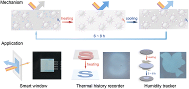 Graphical abstract: Unravelling the mechanism of coloration and prolonged discoloration in abnormally thermochromic PDMS nanocomposites