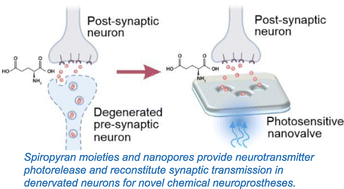 Graphical abstract: Spiropyran-based glutamate nanovalve for neuronal stimulation