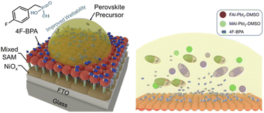 Graphical abstract: Dissolvable molecular bridges promoting buried interface modification for high-performance inverted perovskite solar cells
