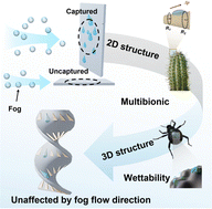 Graphical abstract: Efficient direction-independent 3D spiral fog collector