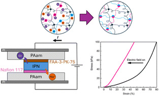 Graphical abstract: Regulating hydrogel mechanical properties with an electric field