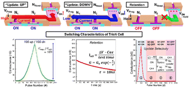 Graphical abstract: Highly-efficient and scalable TrioN (3N0C) synaptic cell for analog process-in-memory
