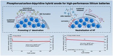 Graphical abstract: Enhancing stable and high-rate lithium ion storage through multifunctional molecular release in a phosphorus/carbon-bipyridine hybrid anode